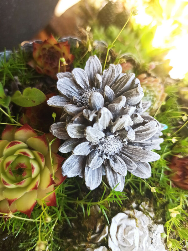Blütenkopf Margeriten klein – Bild 2