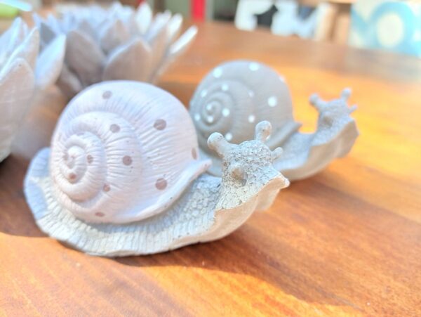 Weinbergschnecke – Bild 7