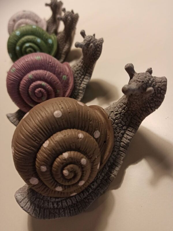 Weinbergschnecke – Bild 6