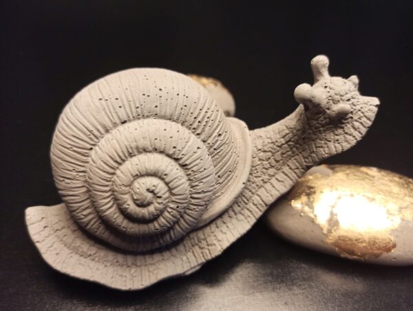 Weinbergschnecke