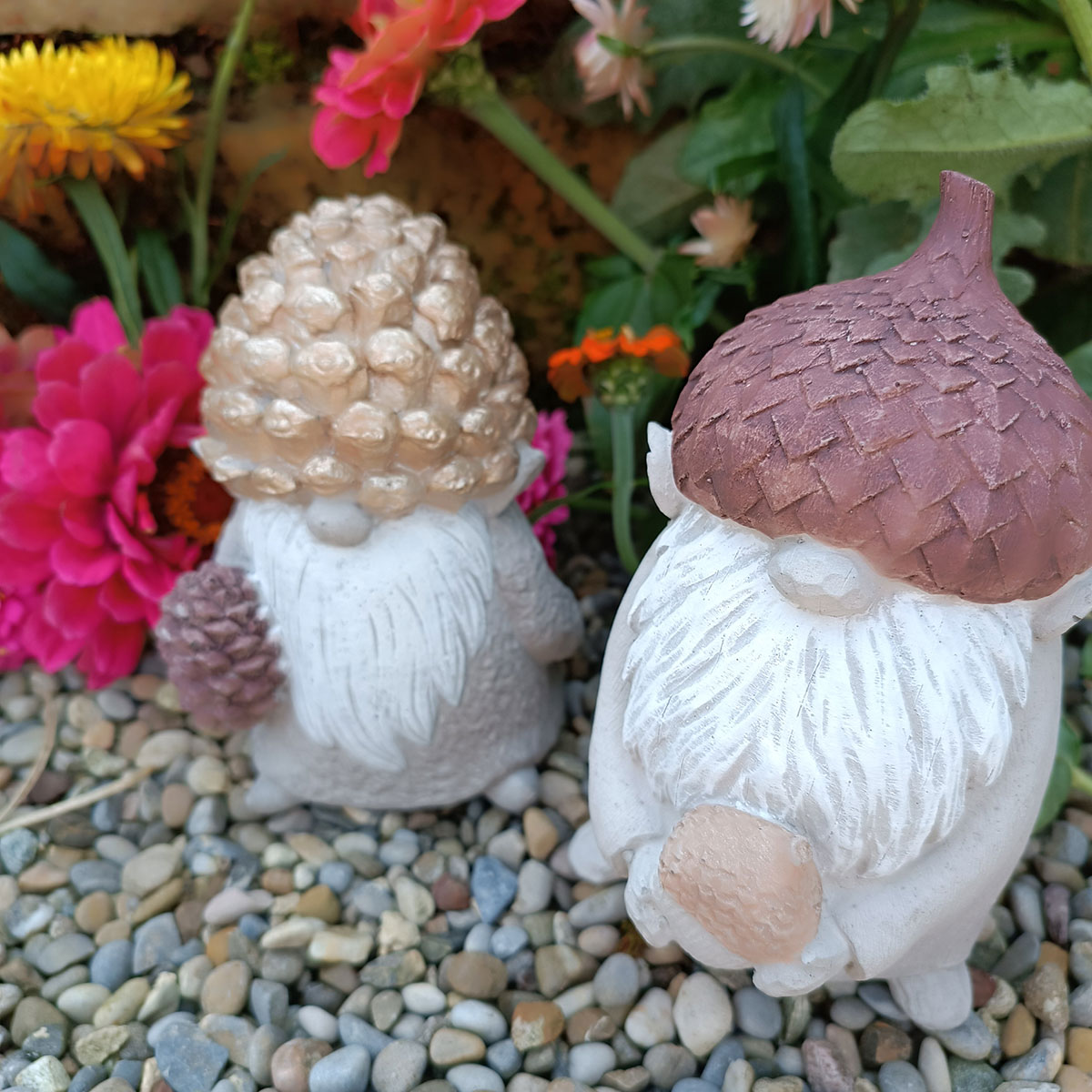 Herbstwichtel – Bild 4