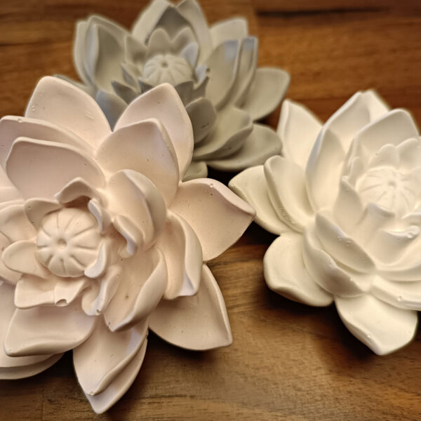 Blütenkopf Lotusblume – Bild 5