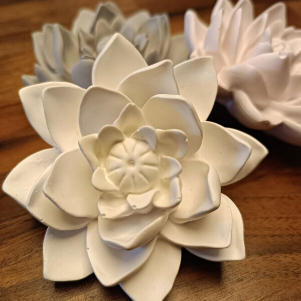 Blütenkopf Lotusblume – Bild 4