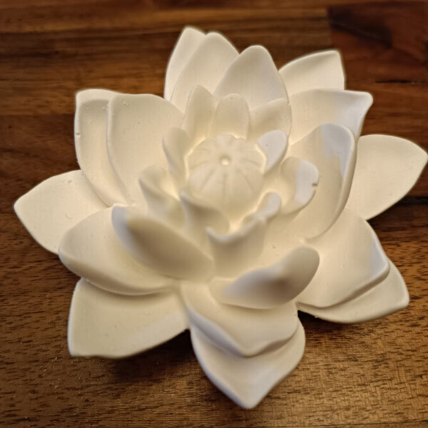 Blütenkopf Lotusblume – Bild 3