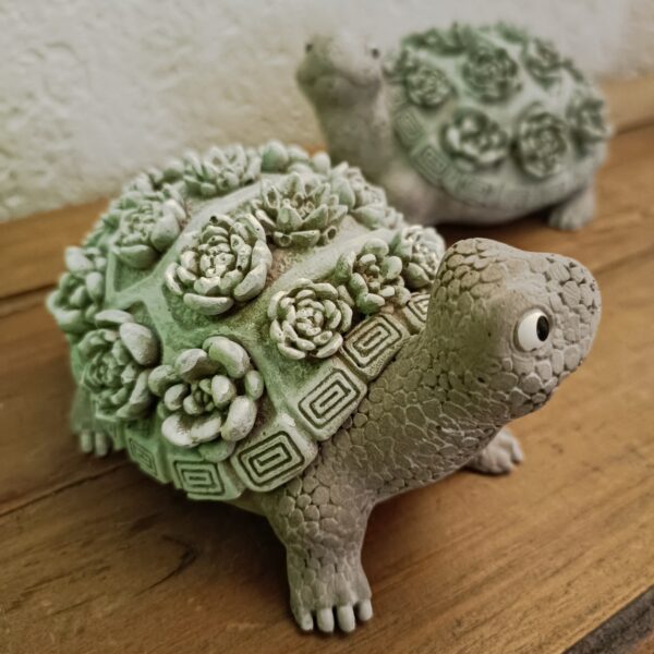 Schildkröte – Bild 4