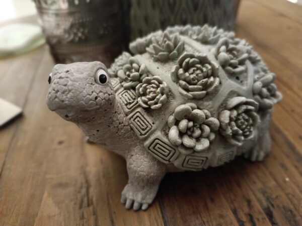 Schildkröte