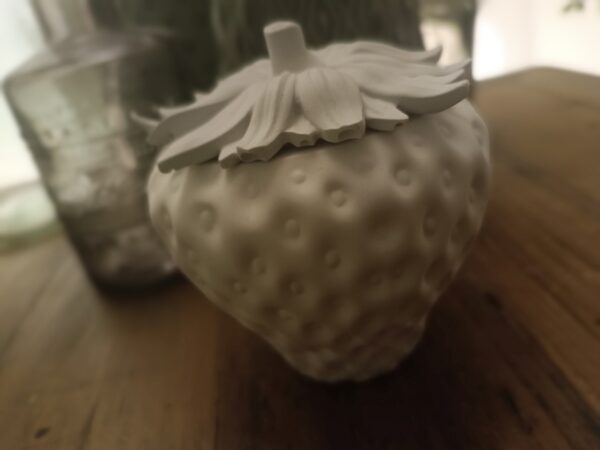Erdbeerdose – Bild 6