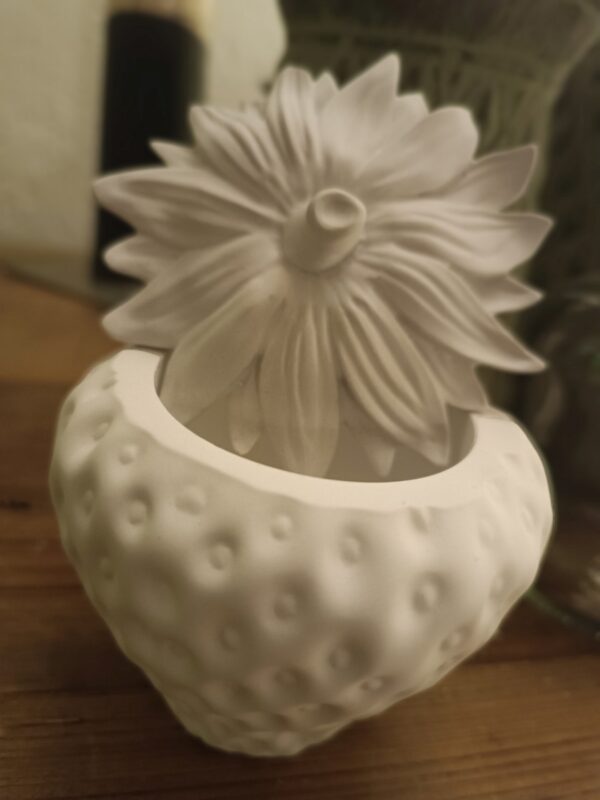 Erdbeerdose – Bild 4