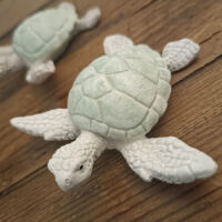 Schildkröte
