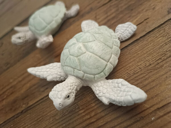 Schildkröte