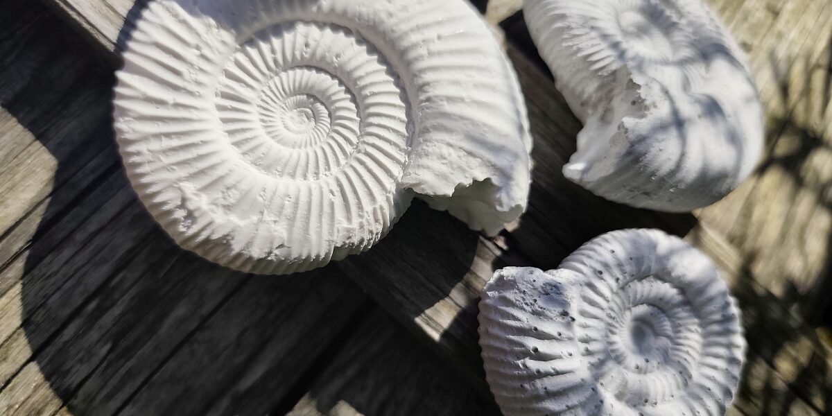 bdBetonDesign_IMG_20250624_093504