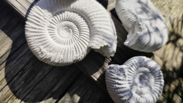 bdBetonDesign_IMG_20250624_093504